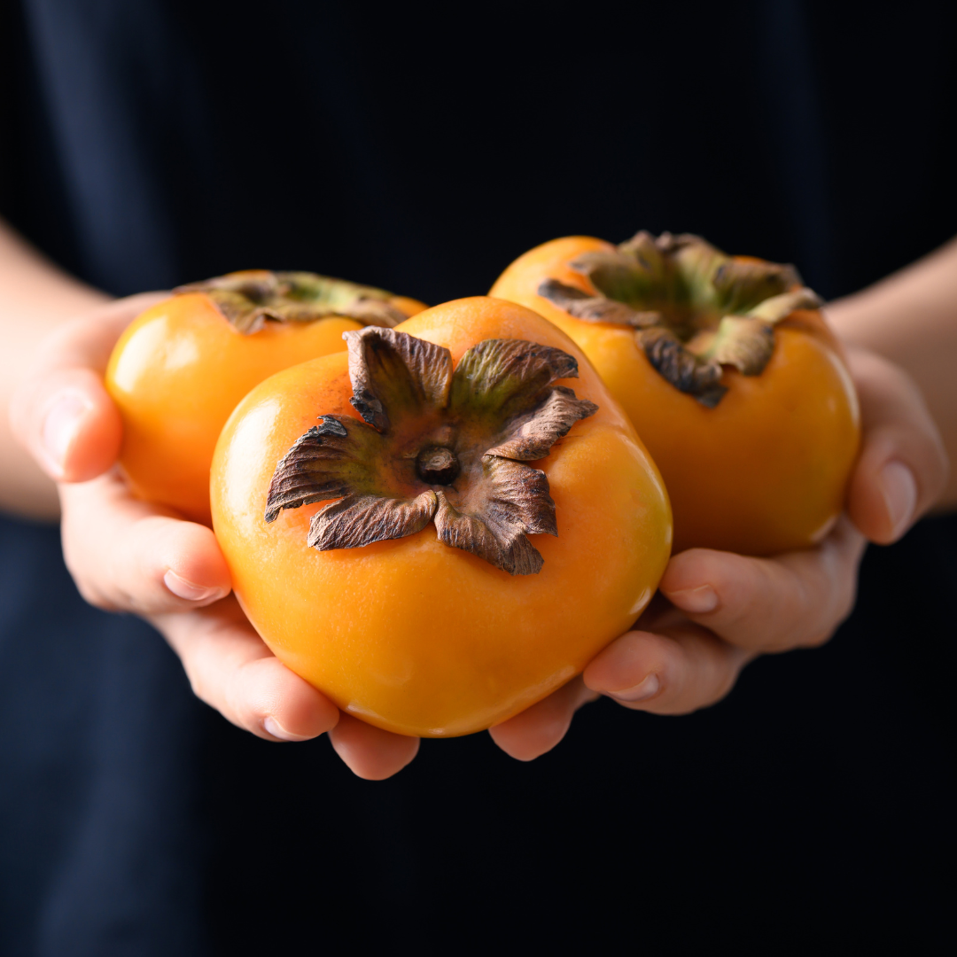 PERSIMMON