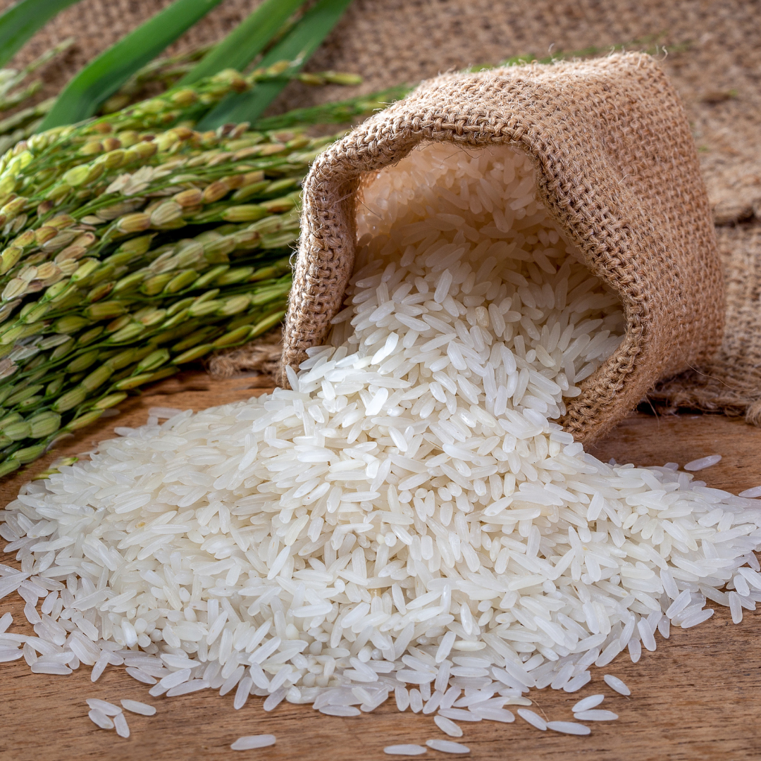Organic Ambemohar Rice- Zama Organics