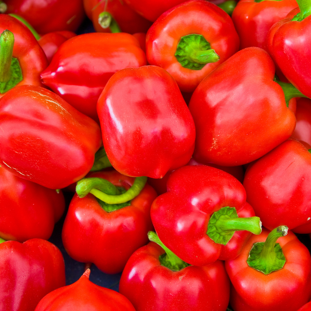 Bell Pepper Ree Buy Organic RED BELL PEPPER in mumbai | Zama Organics
