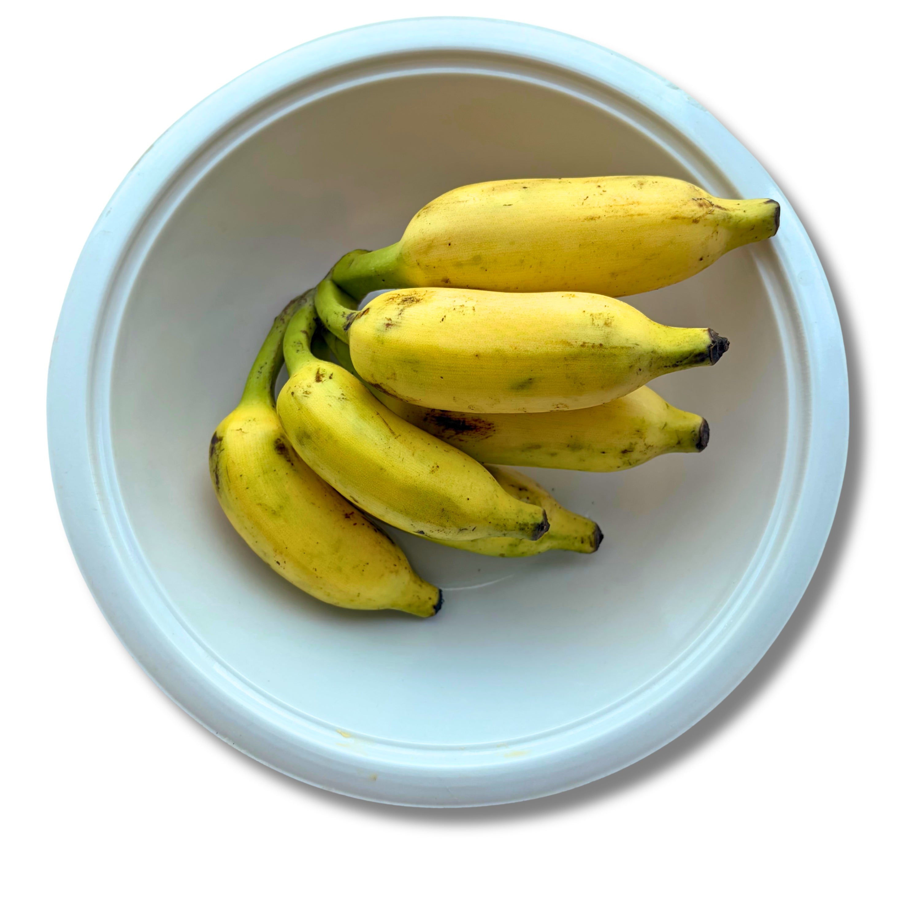 ELAICHEE BANANA