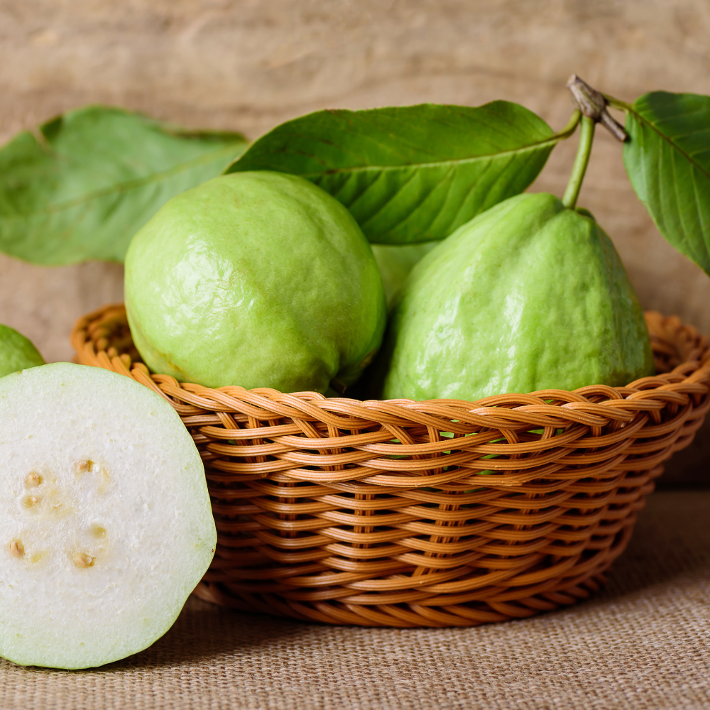 FRESH GUAVA