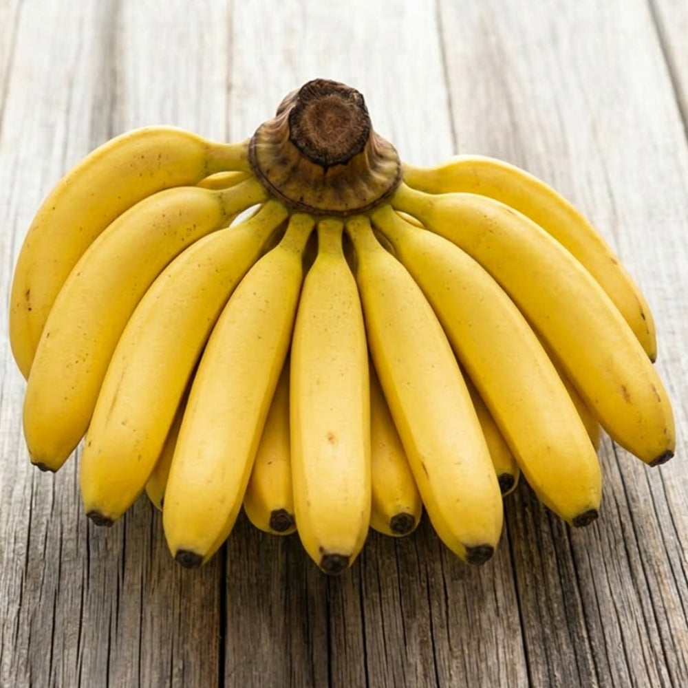 FRESH BANANA