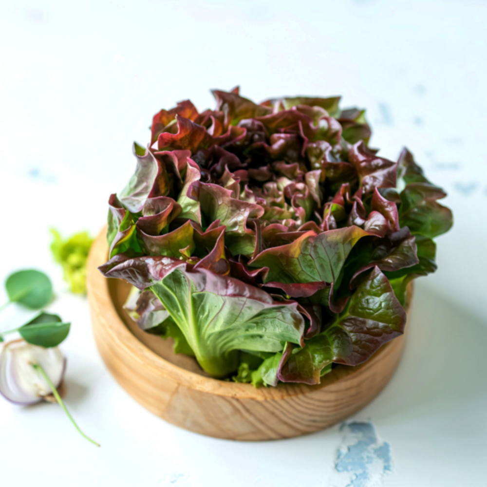 ORGANIC BUTTERHEAD LETTUCE