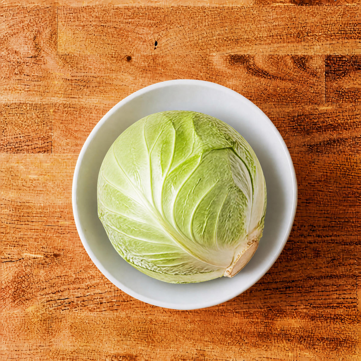 FRESH CABBAGE