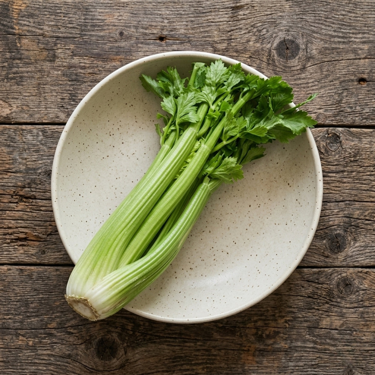 FRESH CELERY