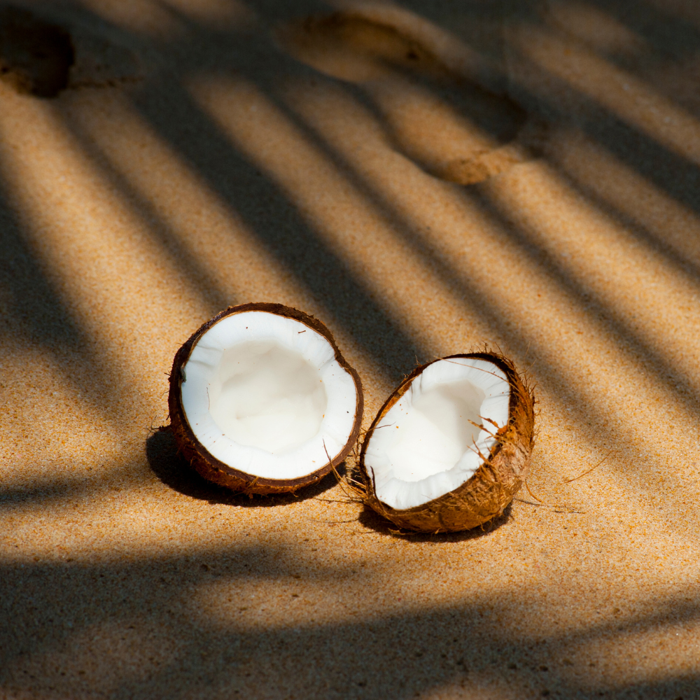 FRESH COCONUT