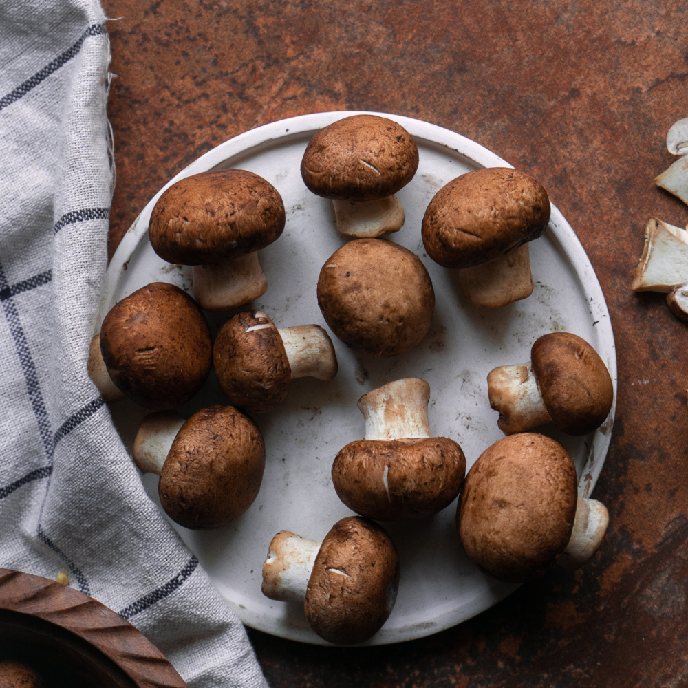 CREMINI MUSHROOM