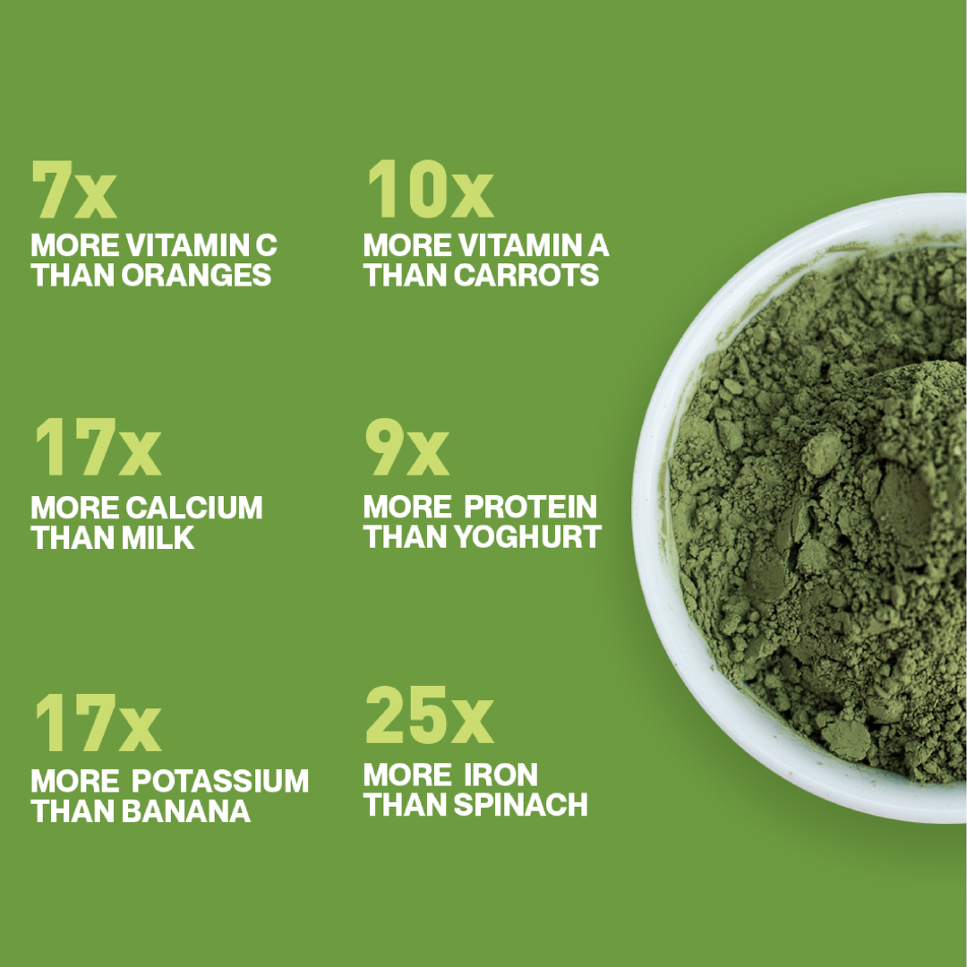 MORINGA POWDER