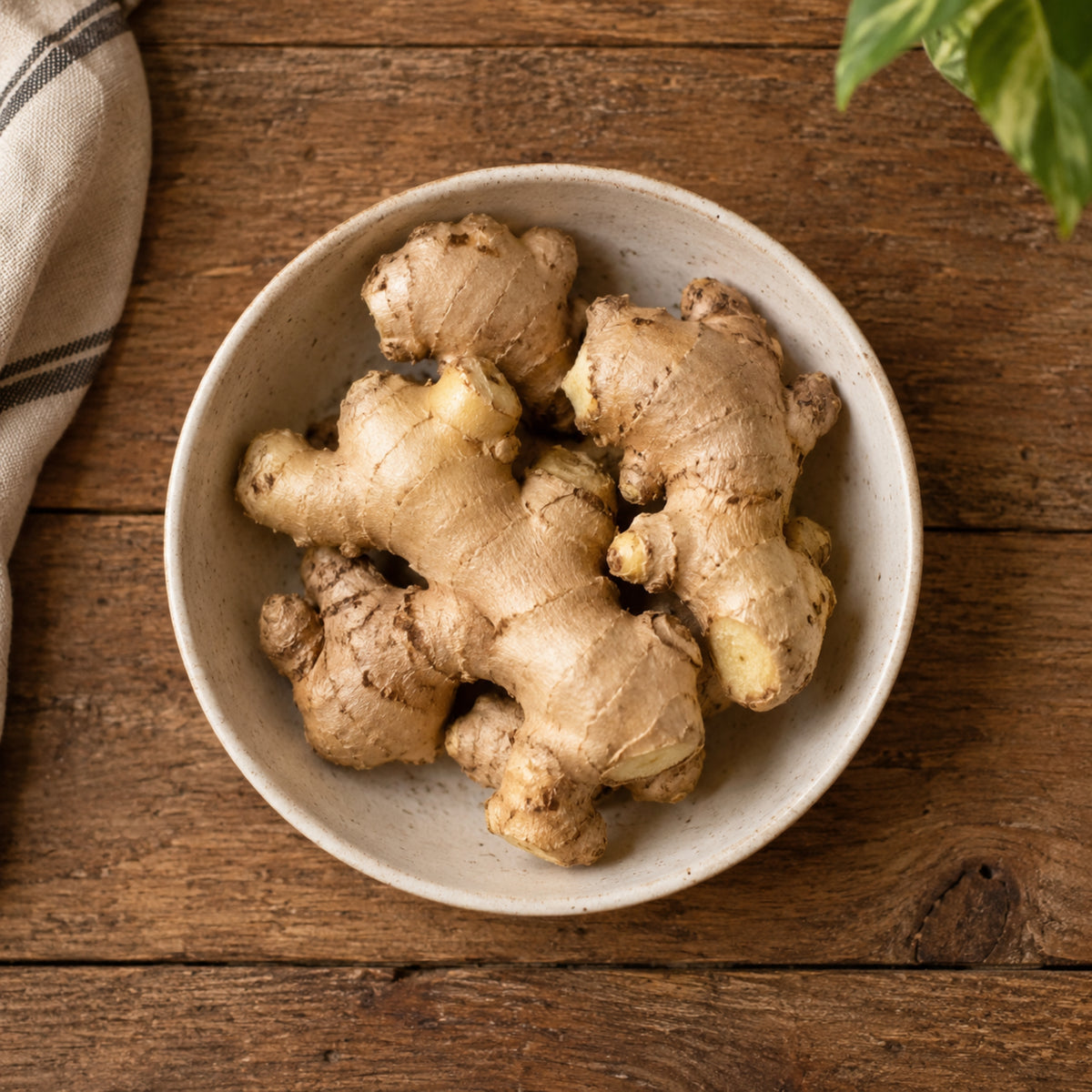 FRESH GINGER