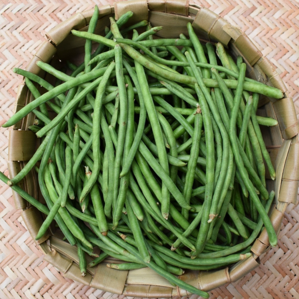 FRESH GREEN CHAWLI
