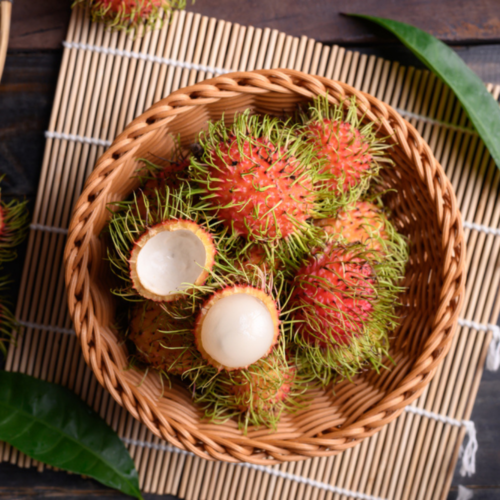 RAMBUTAN