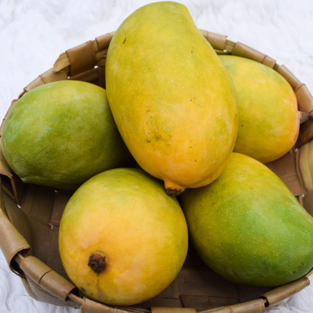 FRESH KESAR MANGO