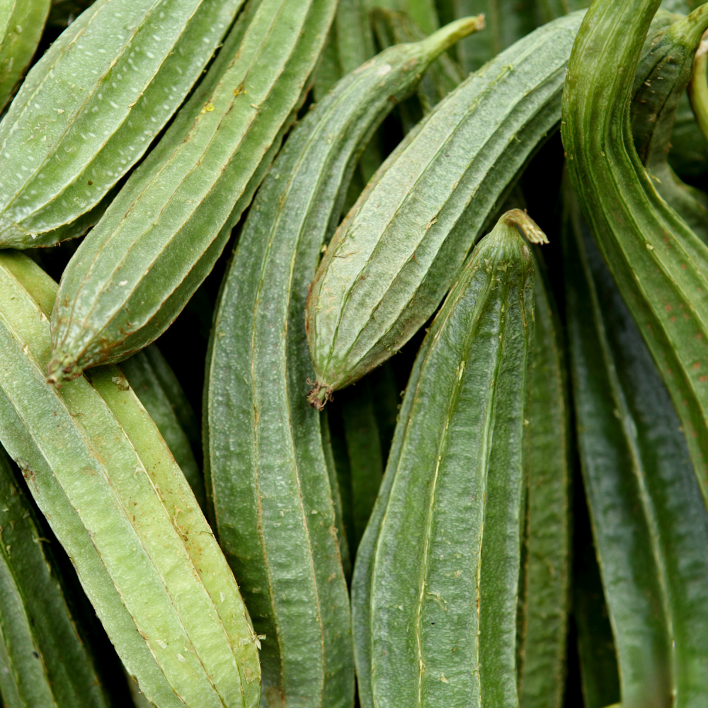 ORGANIC RIDGE GOURD (TURAI)
