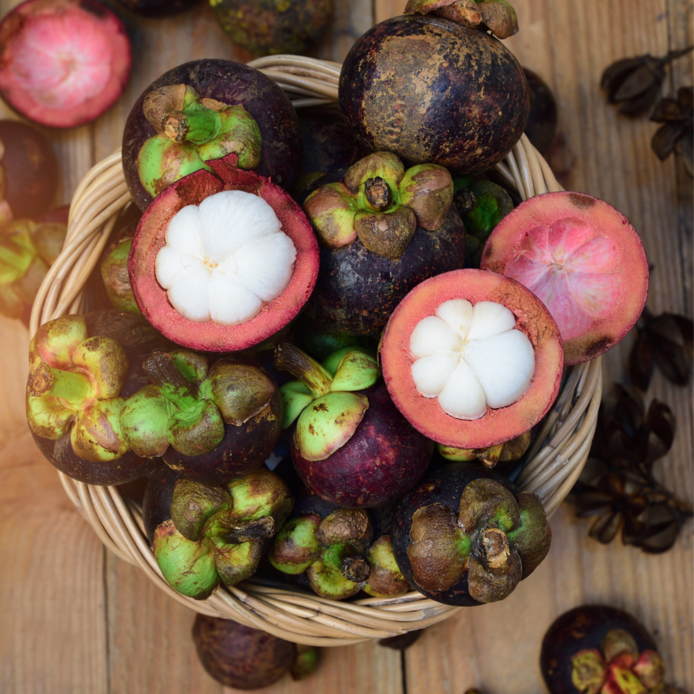 MANGOSTEEN