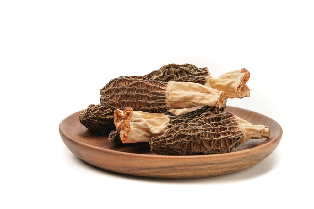 Morel Mushroom