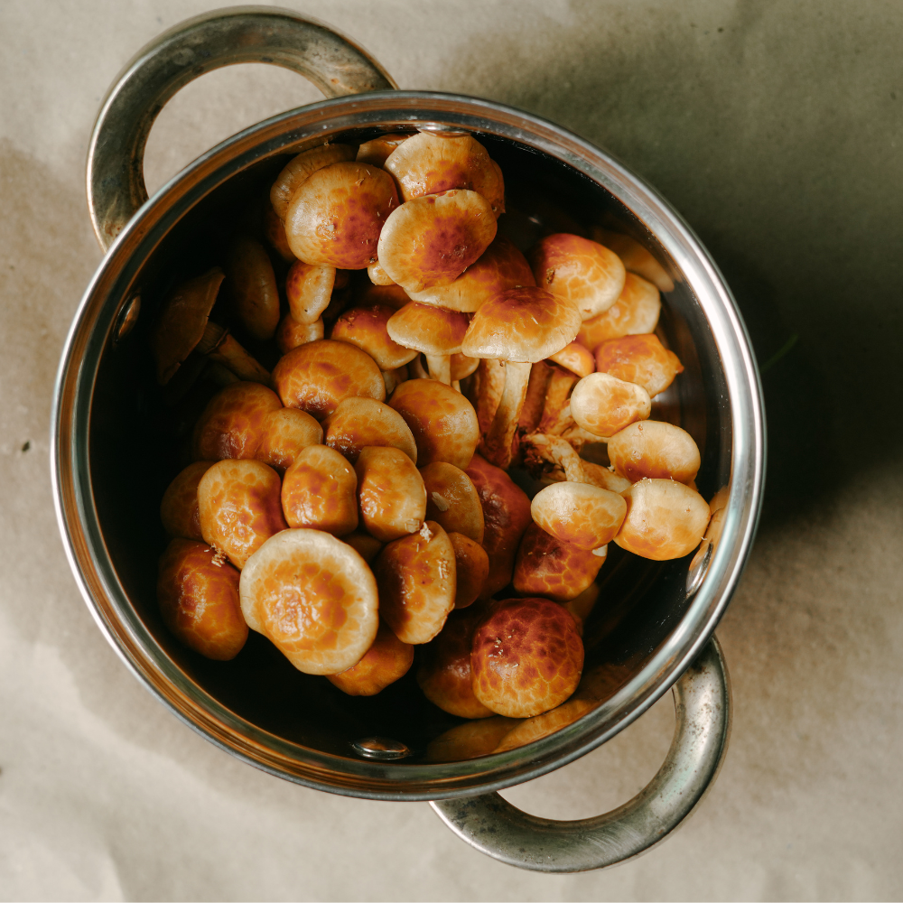 NAMEKO MUSHROOM