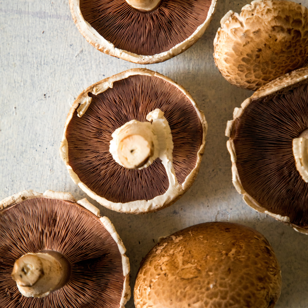 PORTOBELLO MUSHROOM