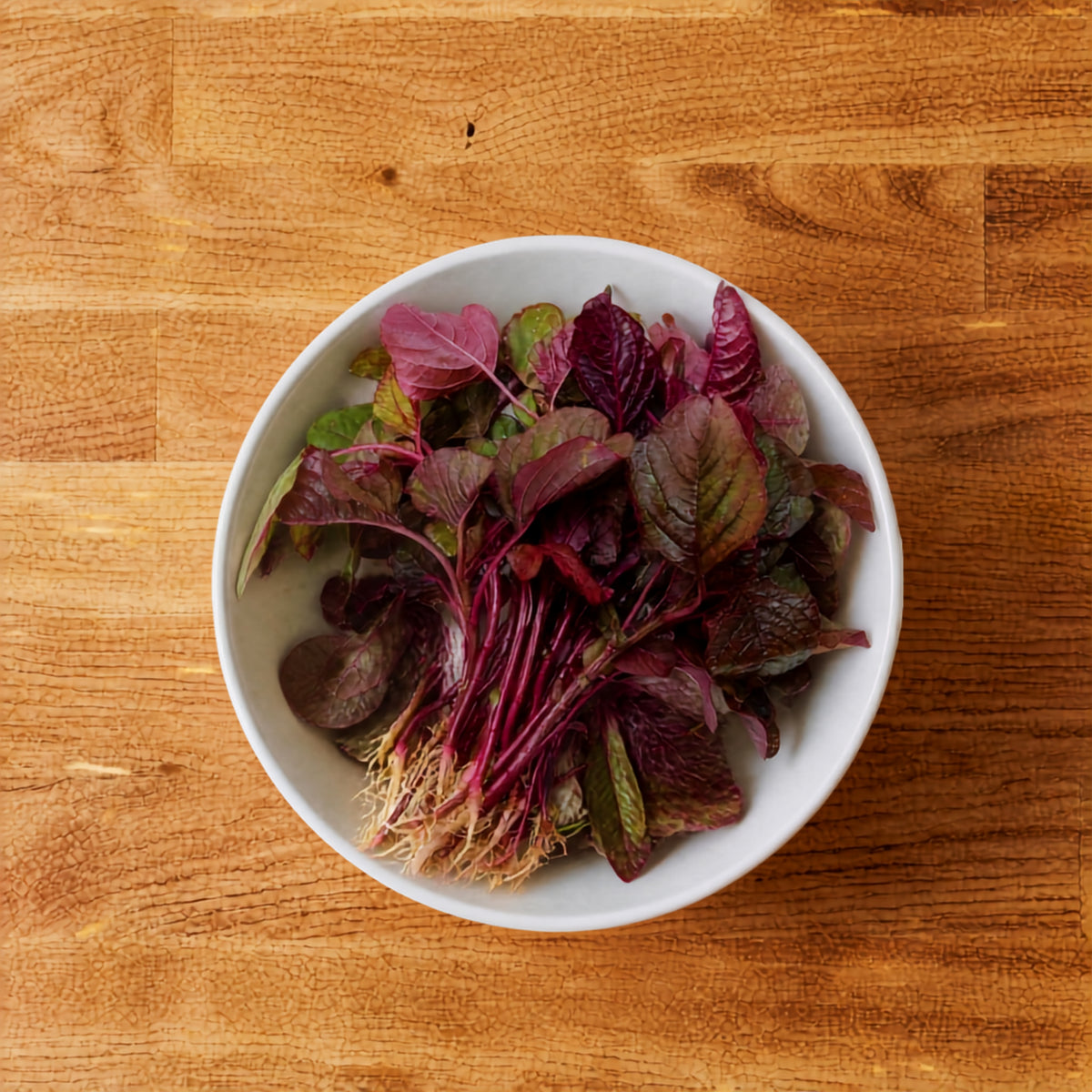 FRESH RED AMARANTH/LAAL MATH