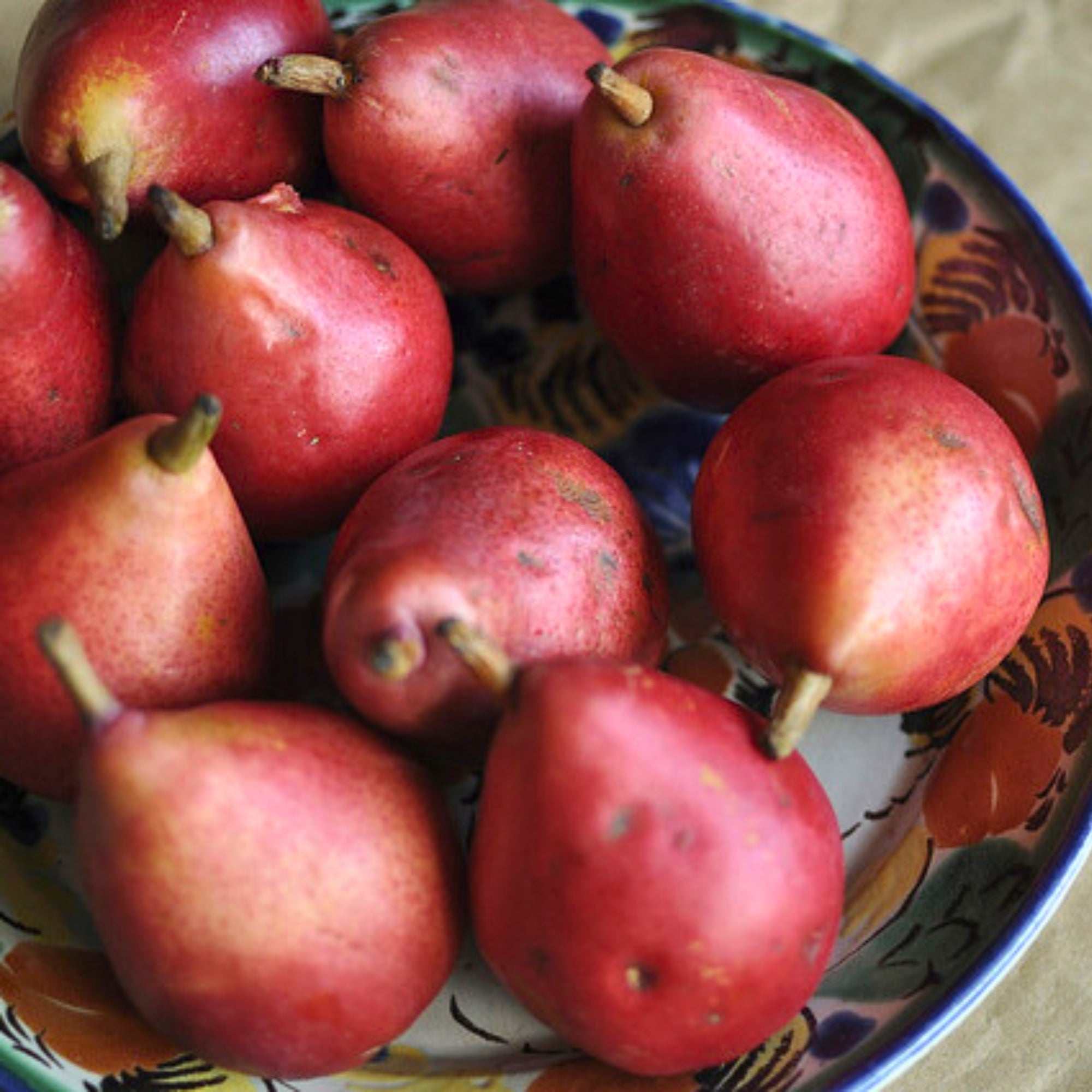 Pear-Red Anjou