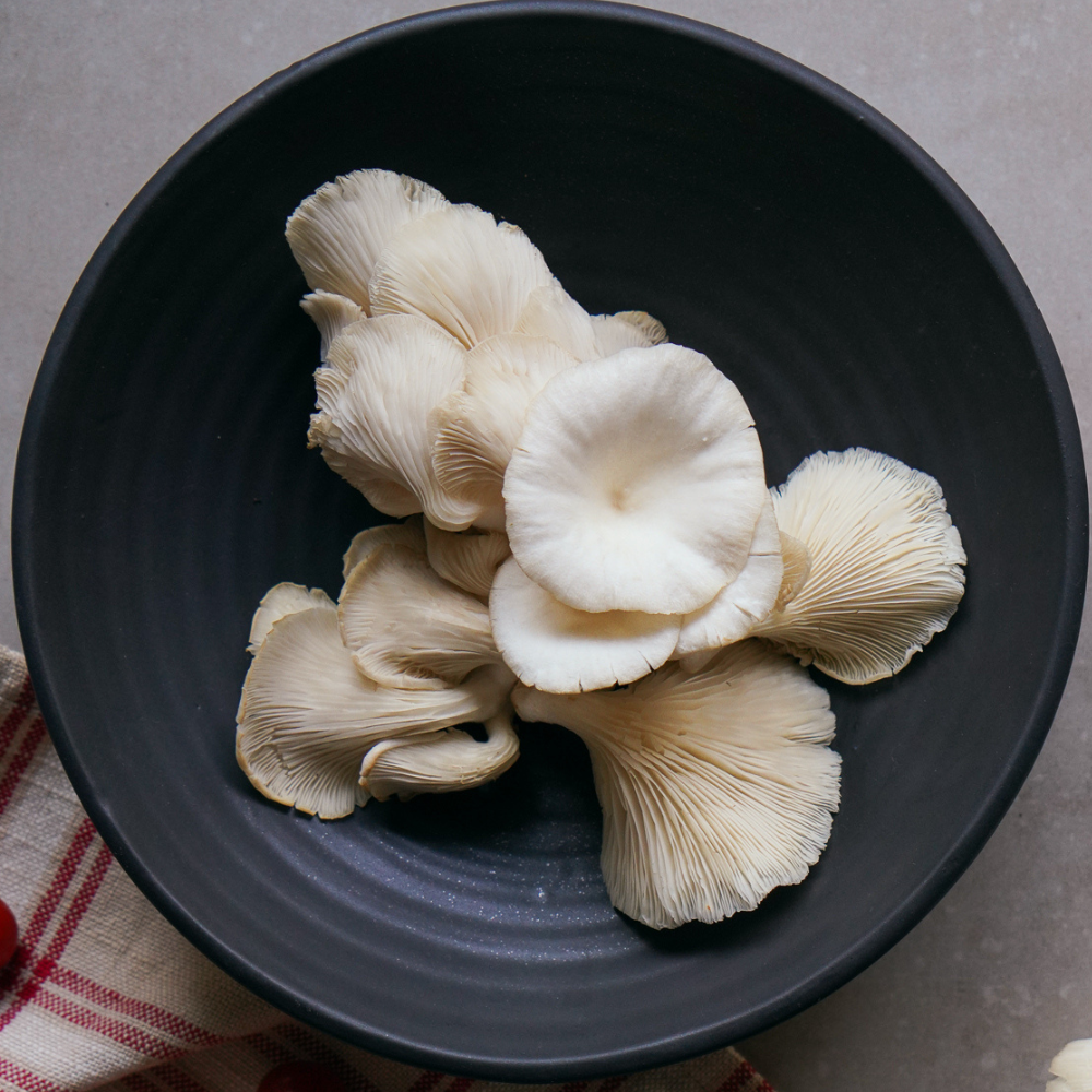 WHITE OYSTER MUSHROOM