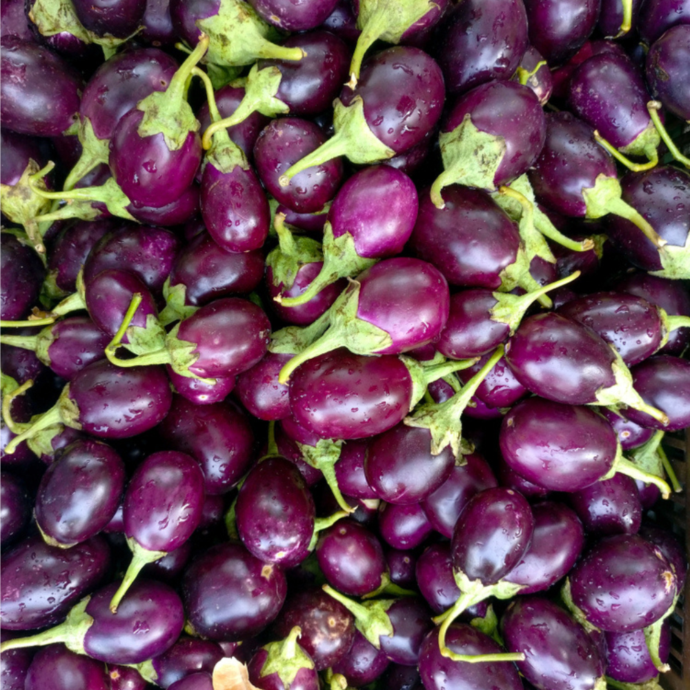 SMALL BRINJAL