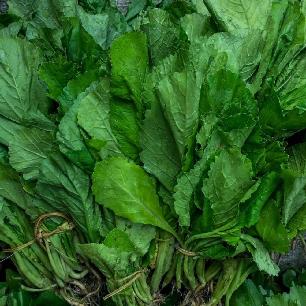 FRESH PALAK