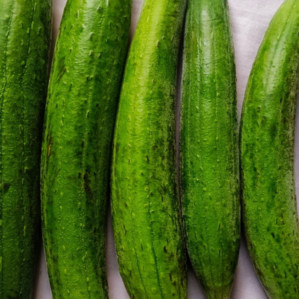 FRESH RIDGE GOURD (TURAI)