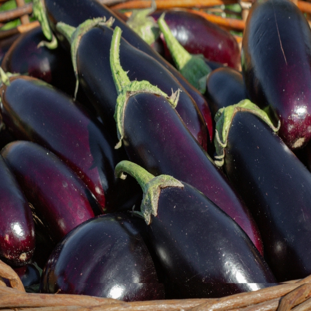 BRINJAL BHARTA