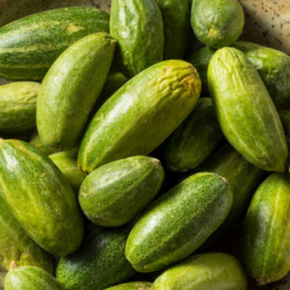 FRESH POINTED GOURD (PARWAL)