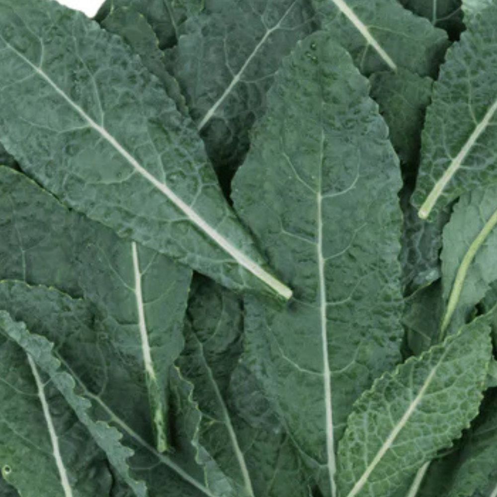 FRESH FLAT KALE
