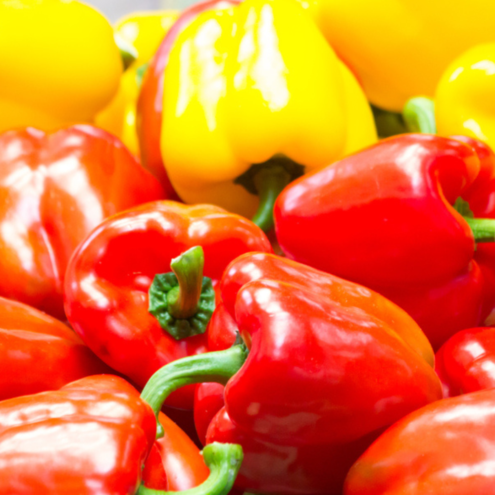 MIX BELL PEPPER