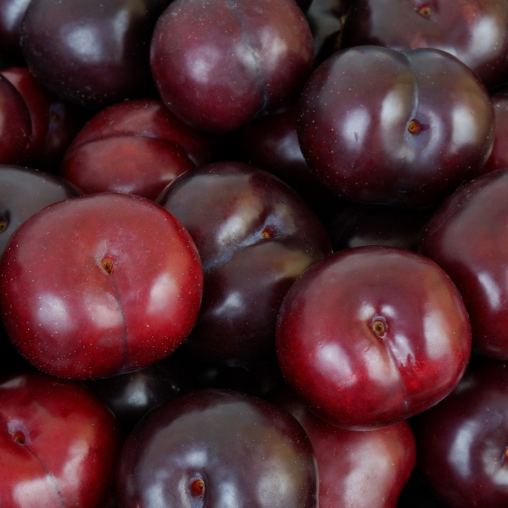 FRESH PLUM