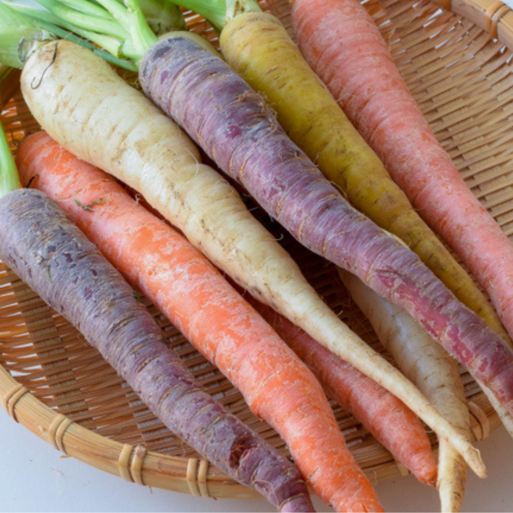 FRESH COLORED CARROT
