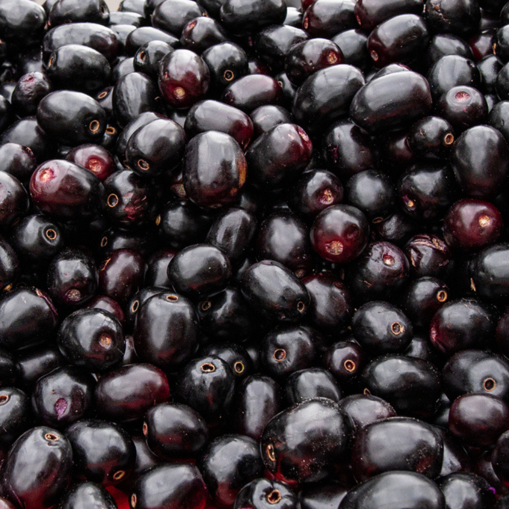 BLACK JAMUN