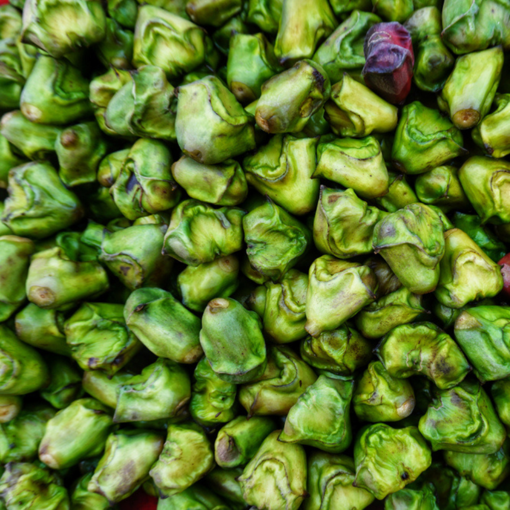 FRESH WATER CHESTNUT