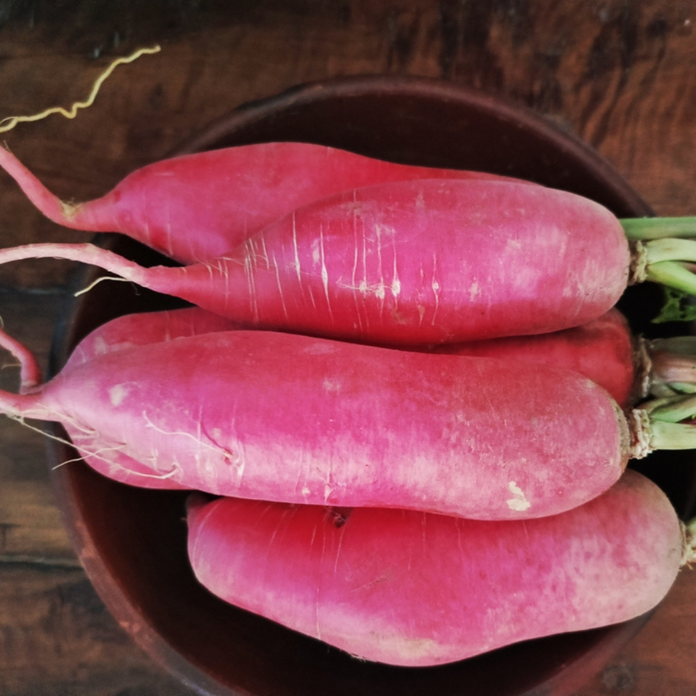 BABY CHERRY RADISH