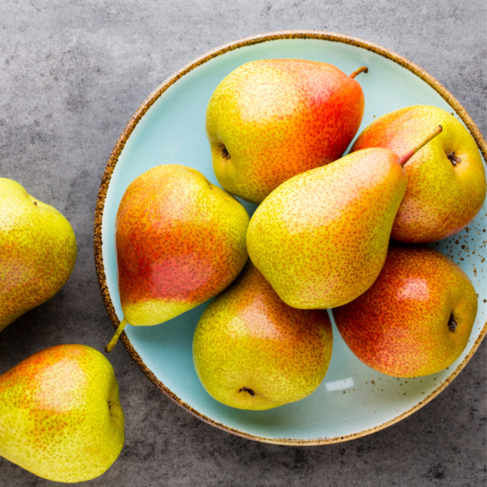 Pear-Red Anjou