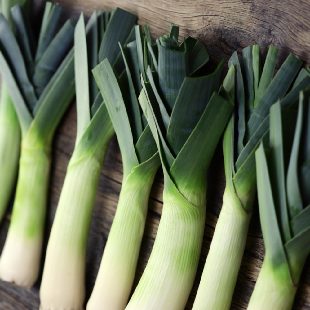 FRESH LEEK