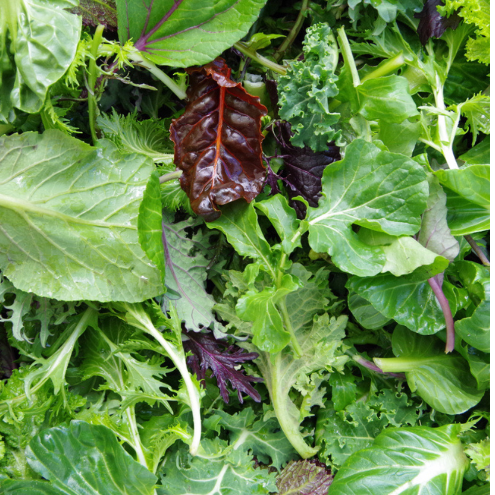 BABY LETTUCE MIX