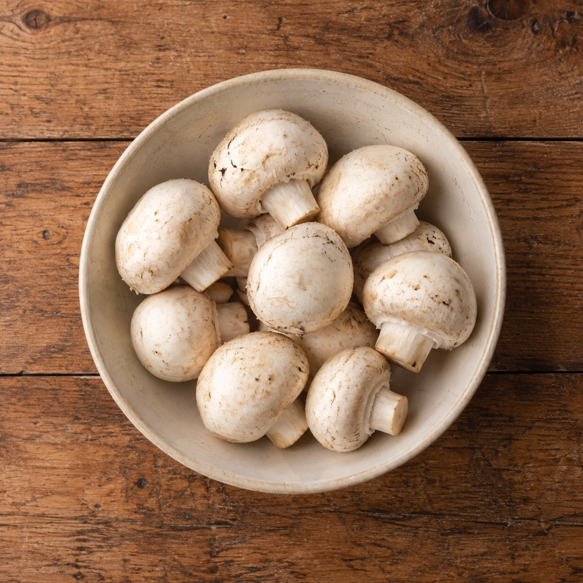 WHITE BUTTON MUSHROOM